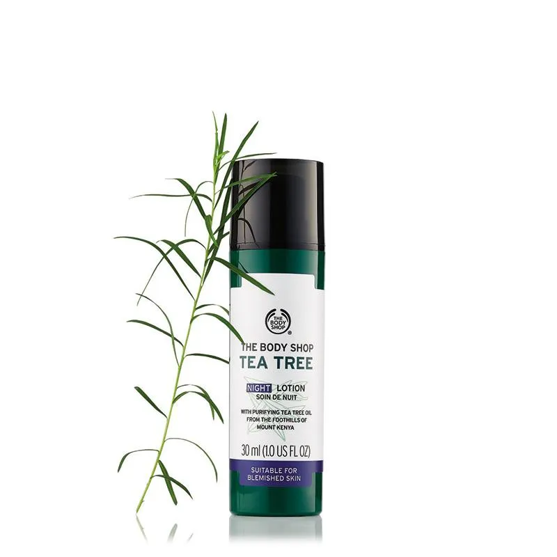 Tea Tree Night Lotion