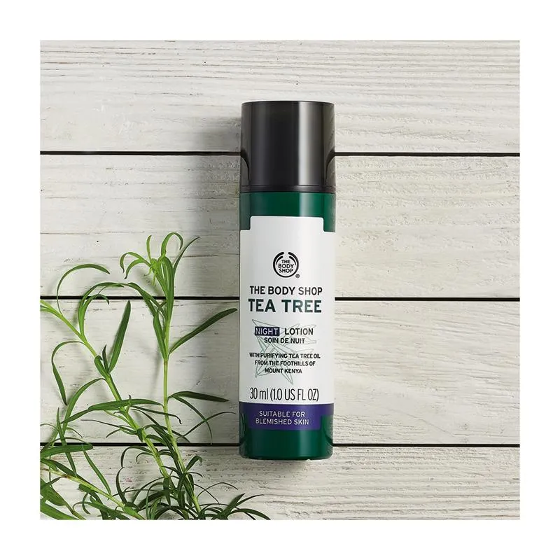 Tea Tree Night Lotion